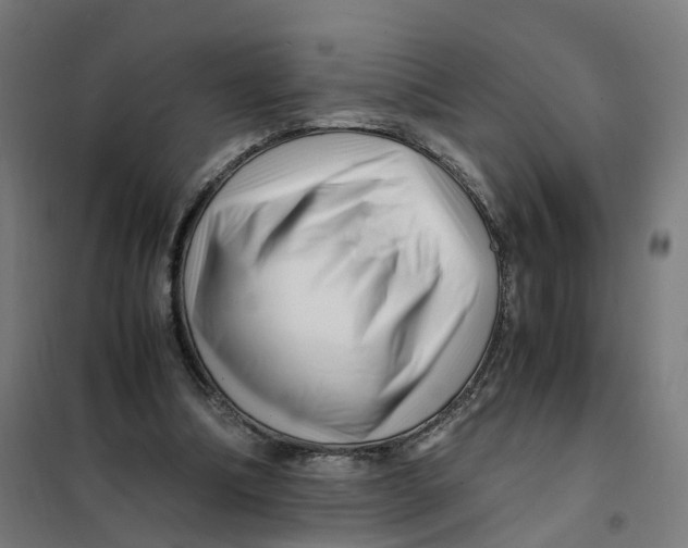 X0000101710298200808071229