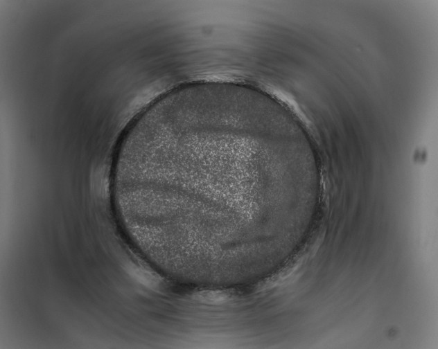 X0000101710299200808071229