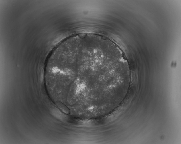 X0000101710301200808071229