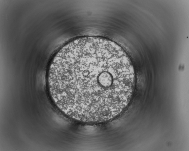 X0000101710302200808071229
