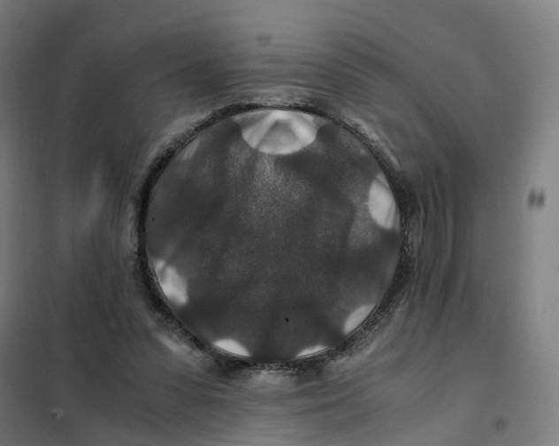 X0000101710303200808071229