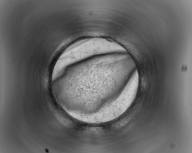 X0000101710304200808071229