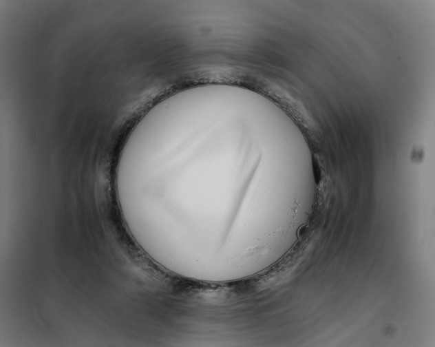 X0000101710306200808071229