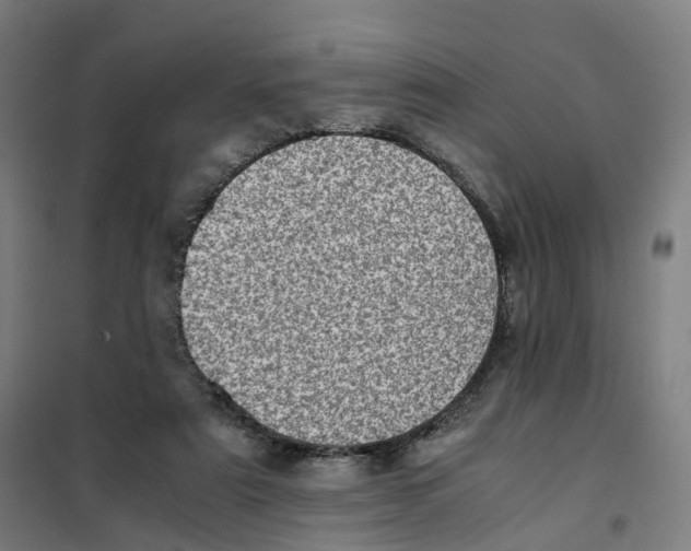 X0000101710307200808071229