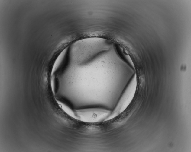 X0000101710308200808071229