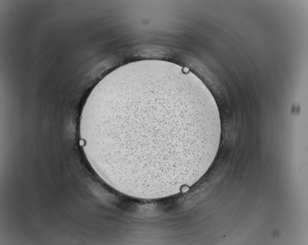 X0000101710309200808071229