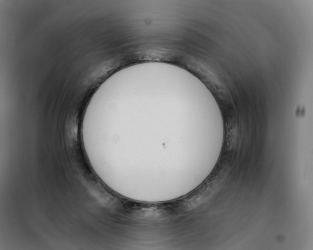 X0000101710310200808071229