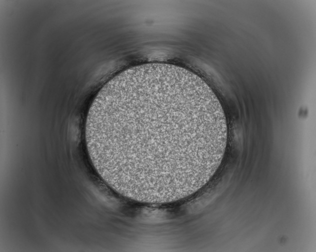 X0000101710311200808071229