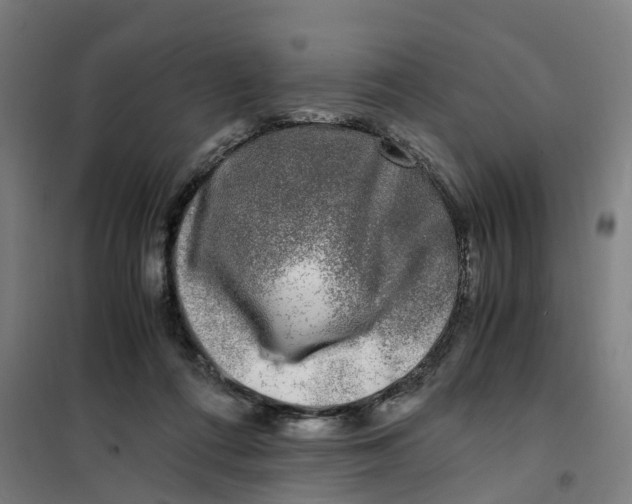 X0000101710312200808071229