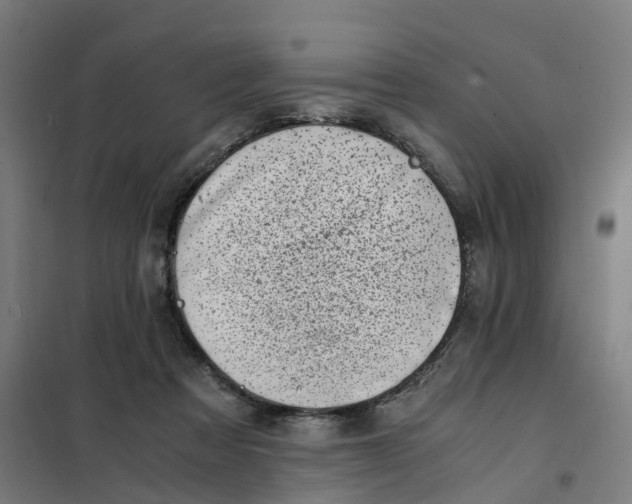 X0000101710313200808071229