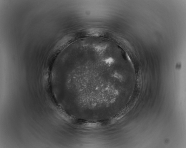 X0000101710314200808071229