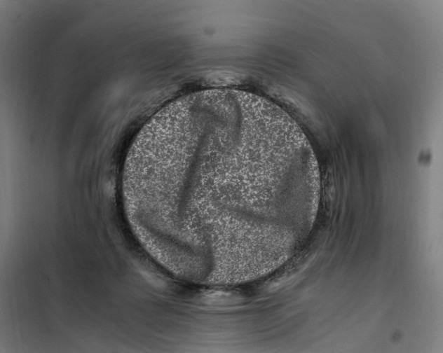 X0000101710315200808071229