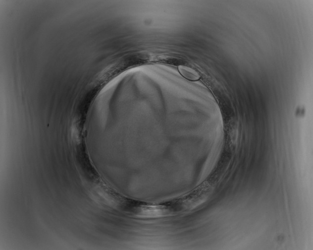 X0000101710316200808071229