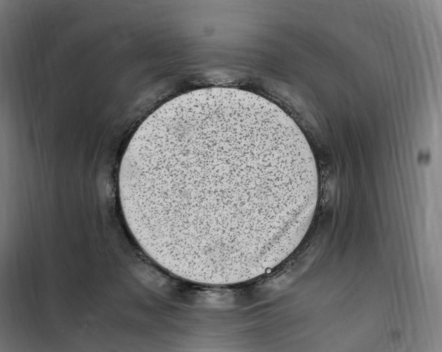 X0000101710317200808071229