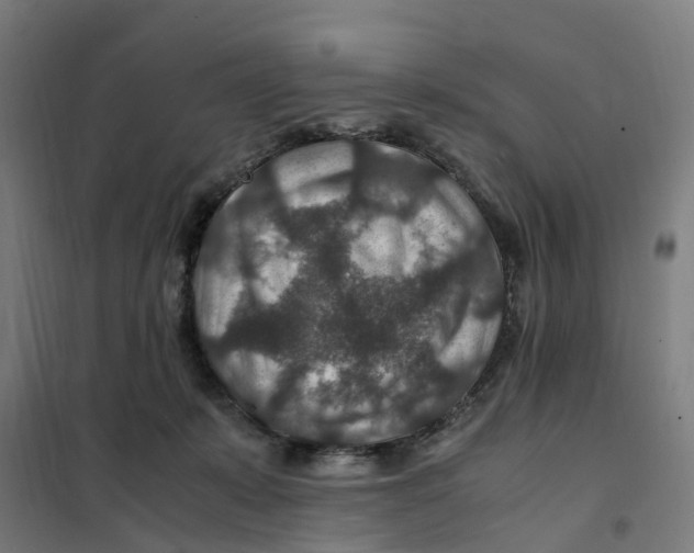 X0000101710319200808071229