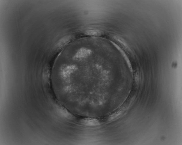X0000101710322200808071229