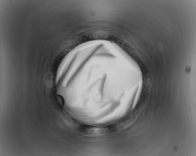 X0000101710323200808071229