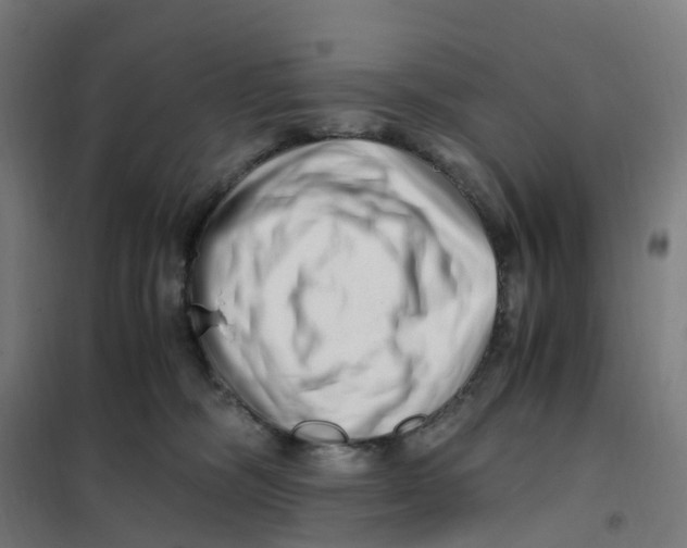 X0000101710326200808071229