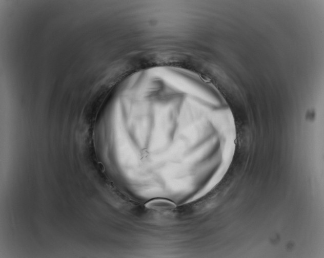 X0000101710327200808071229