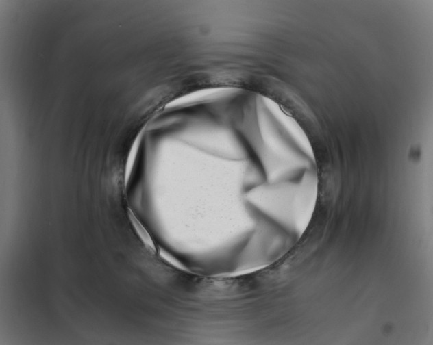 X0000101710329200808071229