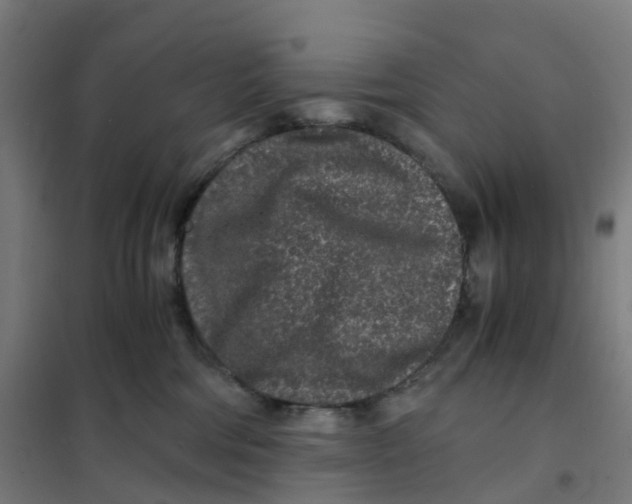 X0000101710330200808071229
