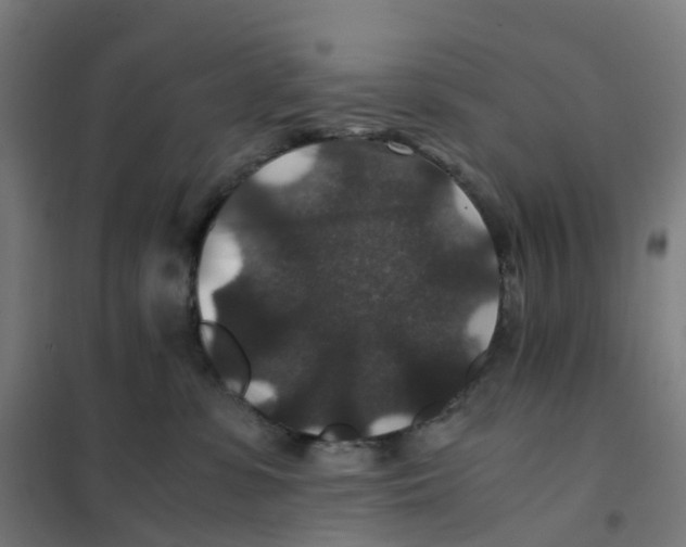 X0000101710331200808071229