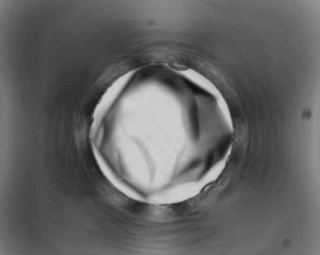 X0000101710333200808071229