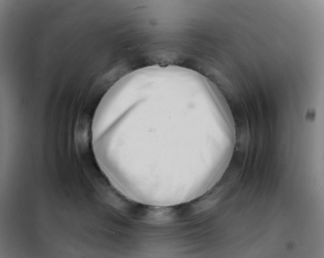 X0000101710334200808071229