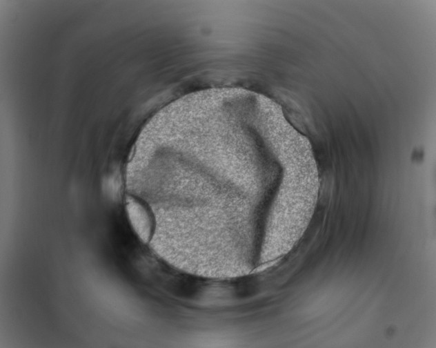 X0000101710335200808071229
