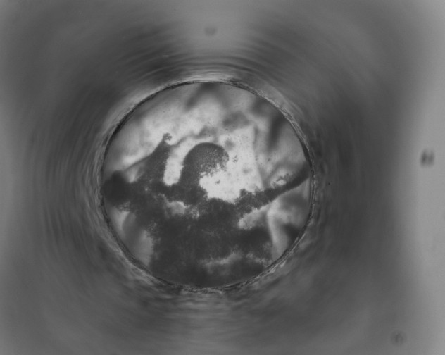 X0000101710337200808071228