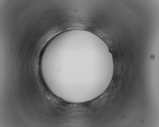 X0000101710338200808071228
