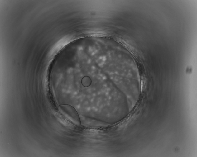 X0000101710339200808071228