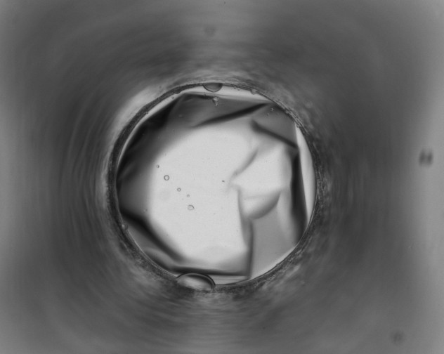 X0000101710340200808071228