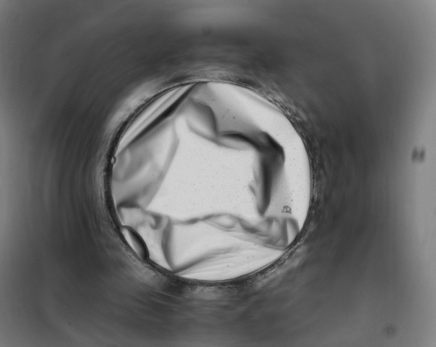 X0000101710341200808071228