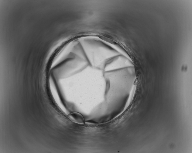 X0000101710342200808071228