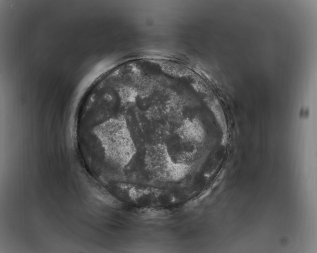 X0000101710343200808071228