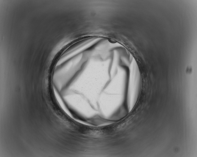 X0000101710344200808071228