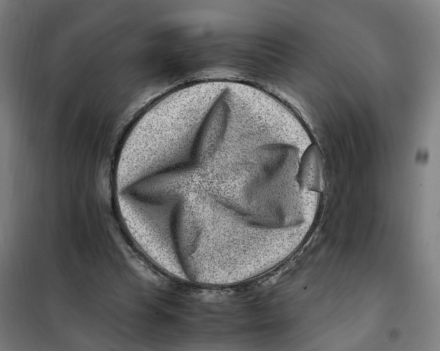 X0000101710345200808071228