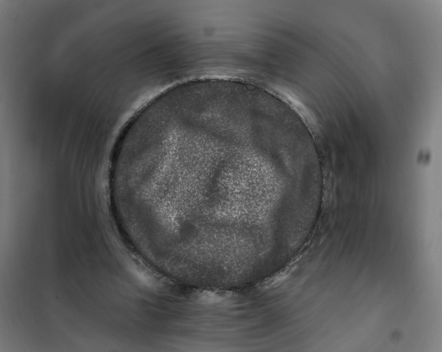 X0000101710346200808071228
