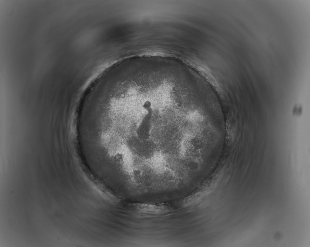 X0000101710347200808071228
