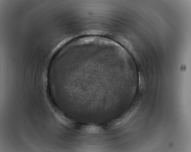 X0000101710348200808071228