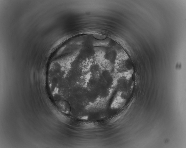 X0000101710349200808071228