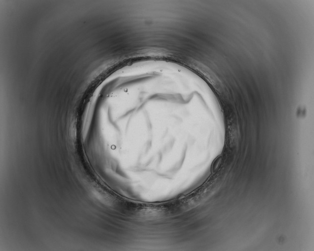 X0000101710350200808071228