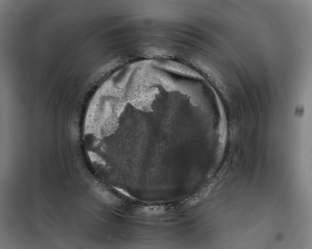 X0000101710353200808071228