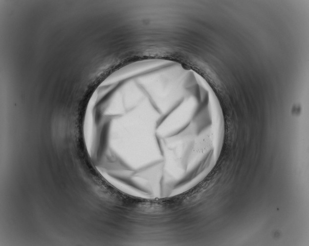 X0000101710354200808071228