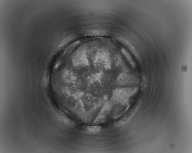 X0000101710355200808071228