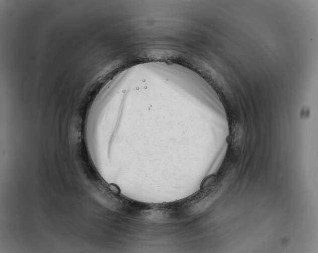 X0000101710356200808071228