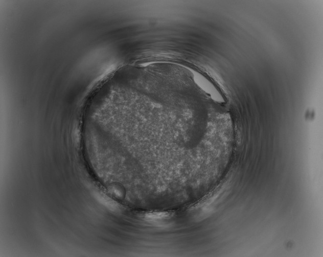 X0000101710357200808071228