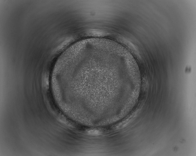 X0000101710358200808071228