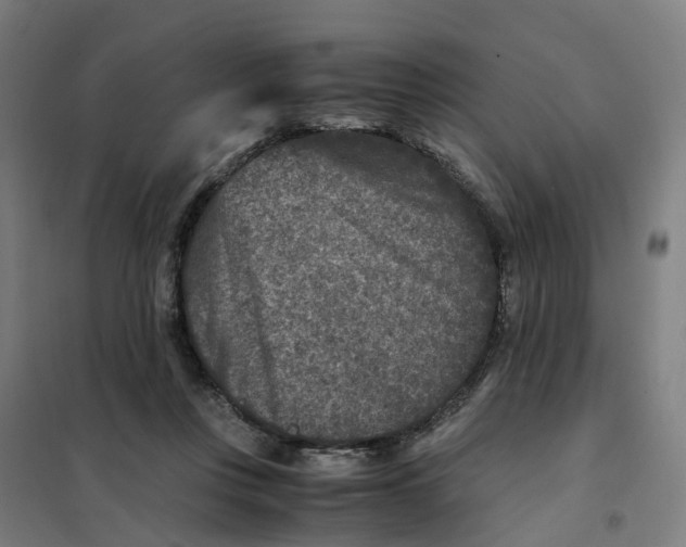 X0000101710359200808071228